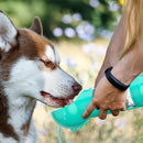 PAWS ASIA China Suppliers Wholesale High Quality Multi Use Travel Feeder Dog Pet Bottle Water With Food And Poop Bag
