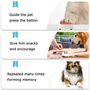 PAWS ASIA Manufacturers Interactive Pet Talking Communication Recording Button Dog Toys