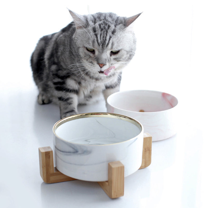 PAWS ASIA Manufacturers Luxury Elevated Pink Eco Dog Bowl With Wood Stand