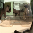 PAWS ASIA Wholesale Plastic Pet Products Cleaning Large Space Cat Litter Box With Corridor
