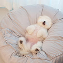 PAWS ASIA Factory Cheap Round Washable Removable Large Warm Soft Padded Minimalist Cat Bed Dog