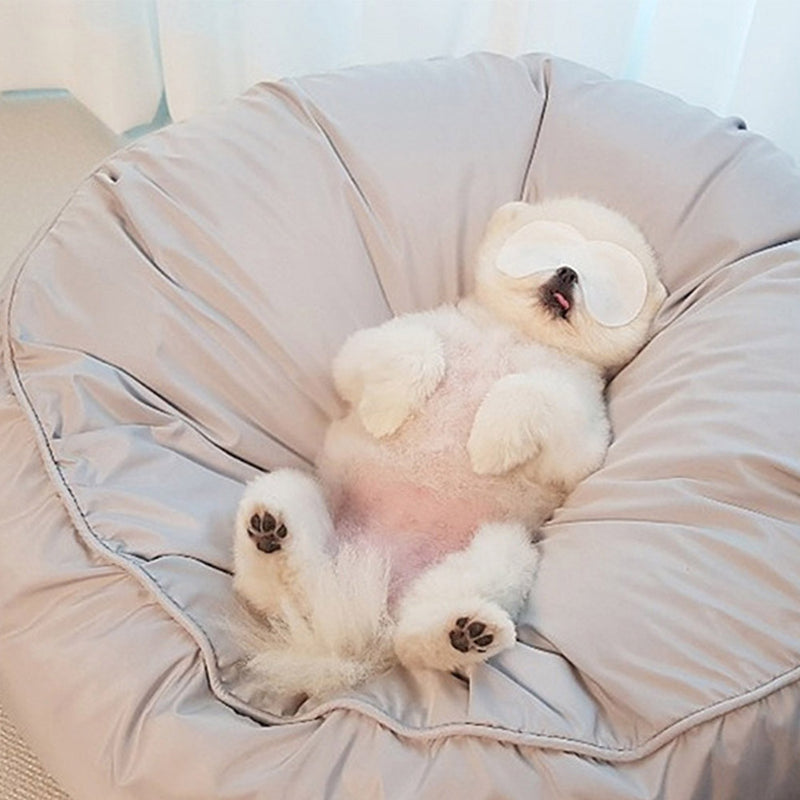 PAWS ASIA Factory Cheap Round Washable Removable Large Warm Soft Padded Minimalist Cat Bed Dog