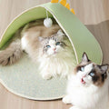 PAWS ASIA Wholesale Summer Rattan Cute Funny Semi Enclosed Comfy Washable Cat Bed