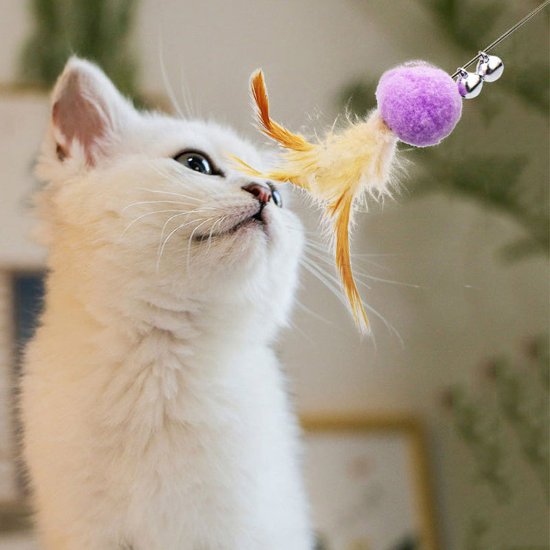 PAWS ASIA Suppliers Dropshipping High Quality Assorted Color Creative Cat Birthday Toys Wand With Feather