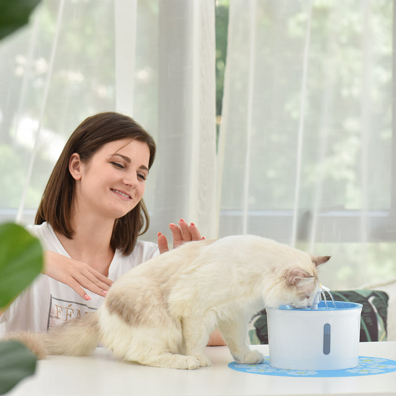 PAWS ASIA Manufacturer High Quality Automatic Pet Food Feeder Drinking Fountain With Non Slip Mats