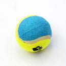 PAWS ASIA Pet Toy Ball Rubber Chewing Non Toxic Environmental Dog Activity Toy