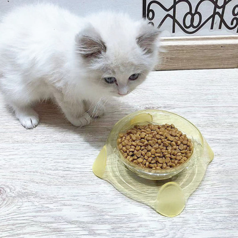 PAWS ASIA Manufacturers Plastic Raised Feed Water And Food Transparent Cat Bowl Dog