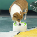 PAWS ASIA Manufacturer No Spill Creative Auto Adjustable Floating Buoyancy Dog Water Bowl Drinking