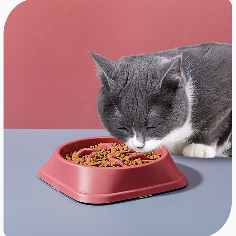 PAWS ASIA AliExpress Popular Portable PP Plastic Slow Eating Non Slip Dog And Cat Bowls3