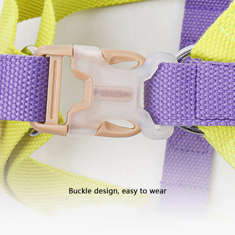 PAWS ASIA Manufacturers Cute Colorful Tough Adjustable Dog Leash Body Harness Set
