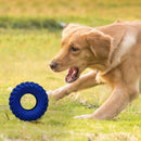PAWS ASIA Rubber Interactive Activity Teeth Cleaning Durable Treat Dog Toys For Aggressive Chewers
