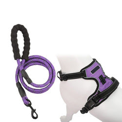 PAWS ASIA Wholesale Luxury Reflective Dog Leash Vest Harness Set With Easy Control Handle