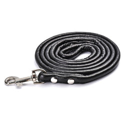 PAWS ASIA AliExpress Best Sell Trendy PU Material Cute Multicolor Tough Long Dog Leash