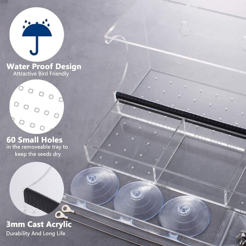 PAWS ASIA Factory Acrylic Transparent Outdoor Window Hanging Bird Feeder Humming Cage
