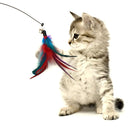 PAWS ASIA Suppliers Wholesale Wire Interactive Pet Teaser Playing Feather Cat Toy Wand Stick