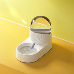 PAWS ASIA Wholesale New Luxury Automatic Plastic Food And Water Self Filling Double Dog Bowl Cat Set