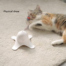 PAWS ASIA Supplier Hot Selling Electronic Automatic Interactive Pet Playing Cute Butterfly Cat Toy