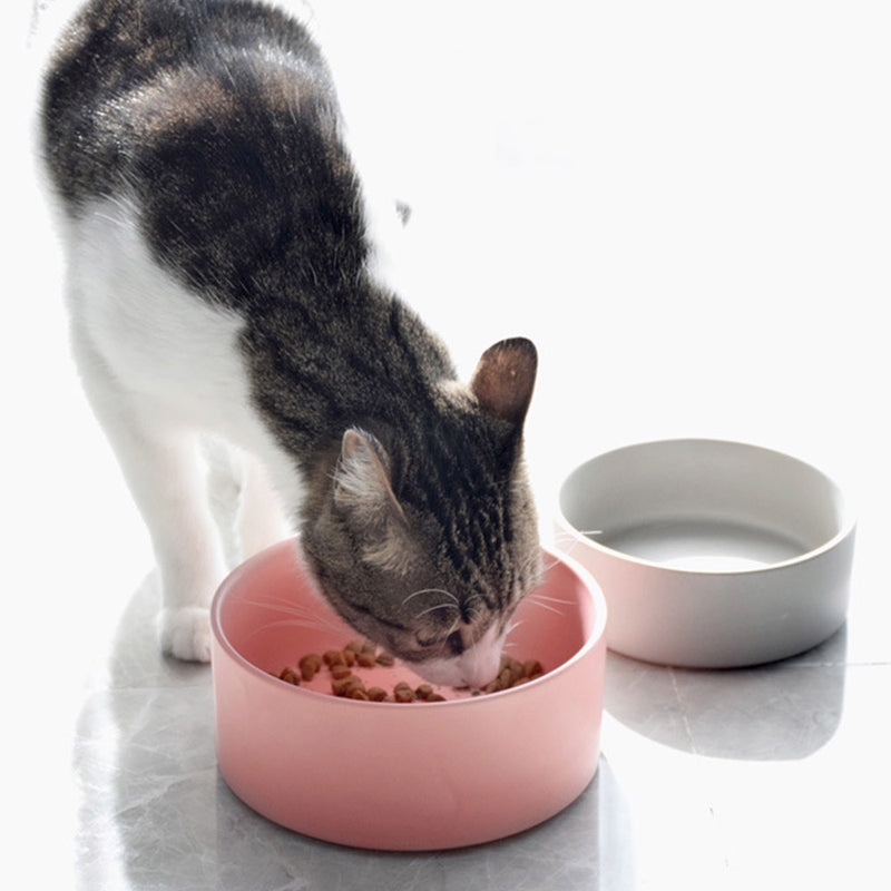 PAWS ASIA Manufacturers Ceramic Protect Cervical Double Elevated Cat Bowl Sets Dog Feeding