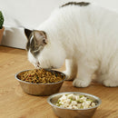 PAWS ASIA Suppliers Hot Sale High Quality Portable Travel Stainless Steel Feeding Big Dog Bowl Cat Pet Feeder