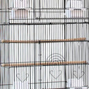 PAWS ASIA Wholesale Cheap White Steel Wire Breeding Large Bird Cage With Stand