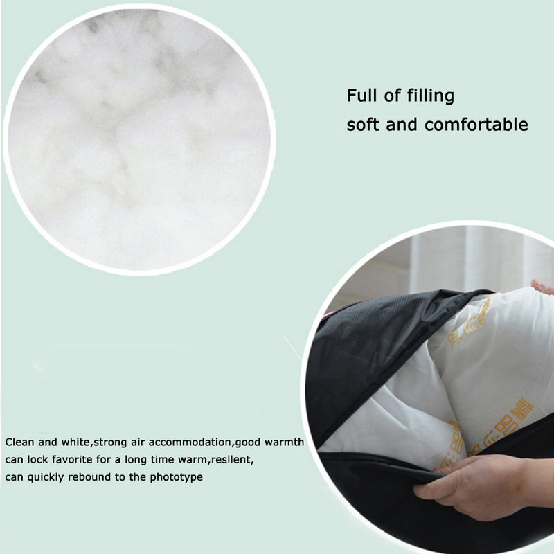 PAWS ASIA Wholesale Washable Fancy Personalized Breathable Cute Dog Bed With Blanket And Pillow