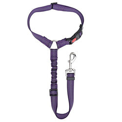 PAWS ASIA Wholesale Multi Use Reflective Elasticity Long Safety Unique Car Dog Leash