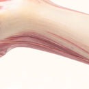 PAWS ASIA Ebay Best Sell Rubber Interesting Simulation Bone Look Real Chicken Nosework Squeaky Dog Toys