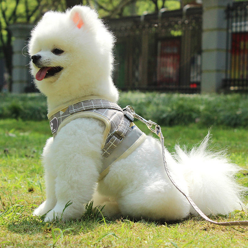 PAWS ASIA Factory Direct Sale Pink Plaid Mesh Reflective Harness Cat Dog Collar And Leash Set