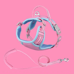 PAWS ASIA Factory Breathable Mesh Reflective Luxury Dog Leash Harness Vest With Handle
