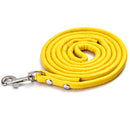 PAWS ASIA AliExpress Best Sell Trendy PU Material Cute Multicolor Tough Long Dog Leash