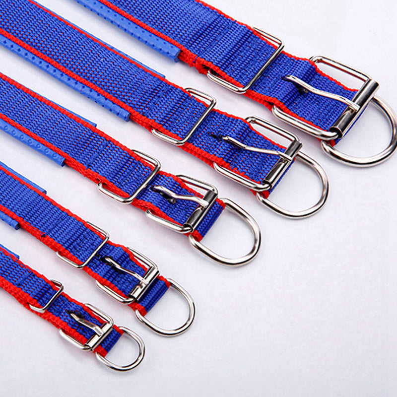 PAWS ASIA Manufacturers Wholesale Custom Adjustable Personalized Luxury Fashion Training Large Stripe Collar Dog