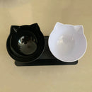 PAWS ASIA Factory New Design Cat Shape Transparent 15 Degree Tilted Raised Double Cat Bowl With Plastic Stand