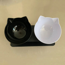 PAWS ASIA Factory New Design Cat Shape Transparent 15 Degree Tilted Raised Double Cat Bowl With Plastic Stand