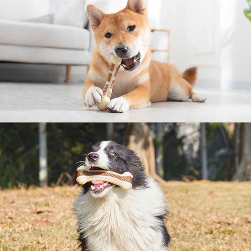 PAWS ASIA Manufacturers Super Chewer Resistant Training Teething Dog Toys Food Treat Bone
