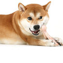 PAWS ASIA Innovative Lifelike Chicken Teeth Cleaning 2021 Dog Present Pets Toy