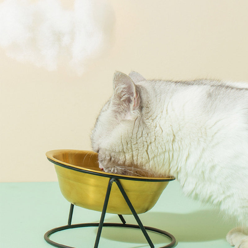 PAWS ASIA Manufacturer Bling Stainless Steel Tilted Dog Bowl Double Design Cat Feeder