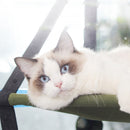 PAWS ASIA Suppliers Foldable Elevated Suction Cup Hanging Calming Cat Bed Window Hammock