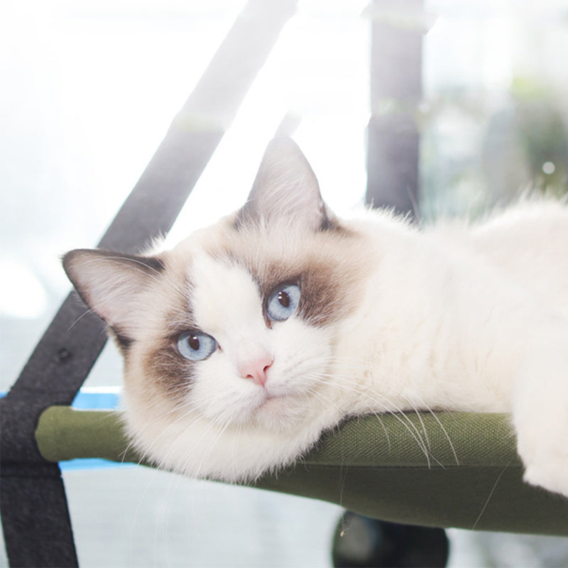 PAWS ASIA Suppliers Foldable Elevated Suction Cup Hanging Calming Cat Bed Window Hammock