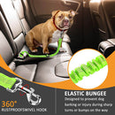 PAWS ASIA Manufacturers Quality Reflectively Nylon Stretchy Retractable Car Dog Leash Rope