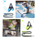 PAWS ASIA Factory Reflective Breathable Mesh Tough Tactical Dog Harness Set