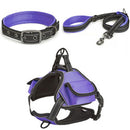 PAWS ASIA Wholesale New Waterproof Reflective Pet Dog Collar And Leash Harness Set With Bag