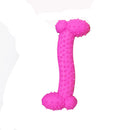 PAWS ASIA Manufacturers Direct Sale TPR Tooth Clean Spiky Molar Dog Bone Toy