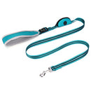 PAWS ASIA Wholesale Nylon Reflective Dog Leash With Poop Bag And Multifunctional Handle Pet Rope