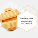 PAWS ASIA Suppliers Pet Outdoor Training Rubber Ball Interactive Feeding Treat Dog Toys Chew