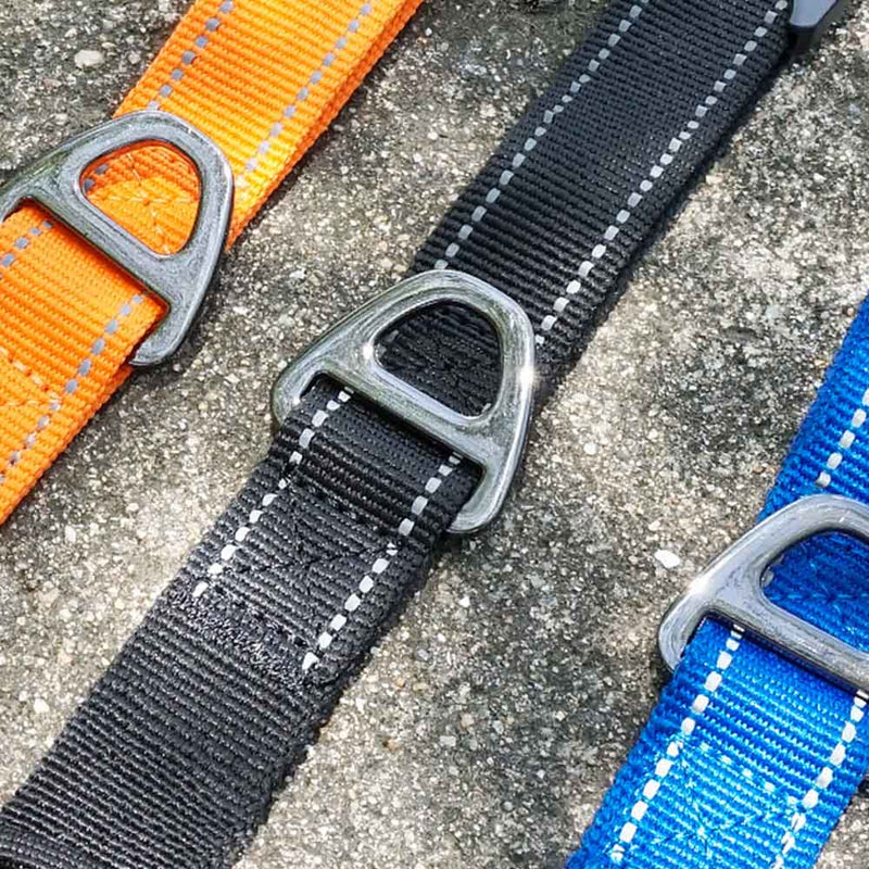 PAWS ASIA Factory Luxury Reflective Elastic Retractable Training Dog Leash With Pet Car Seat Belt Buckle