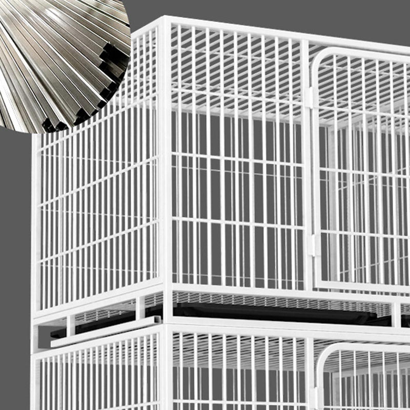 PAWS ASIA China Manufacturers Galvanized Steel Pipe Enclosures Large Commercial Pet Breeding Cat Cage 3 Layer