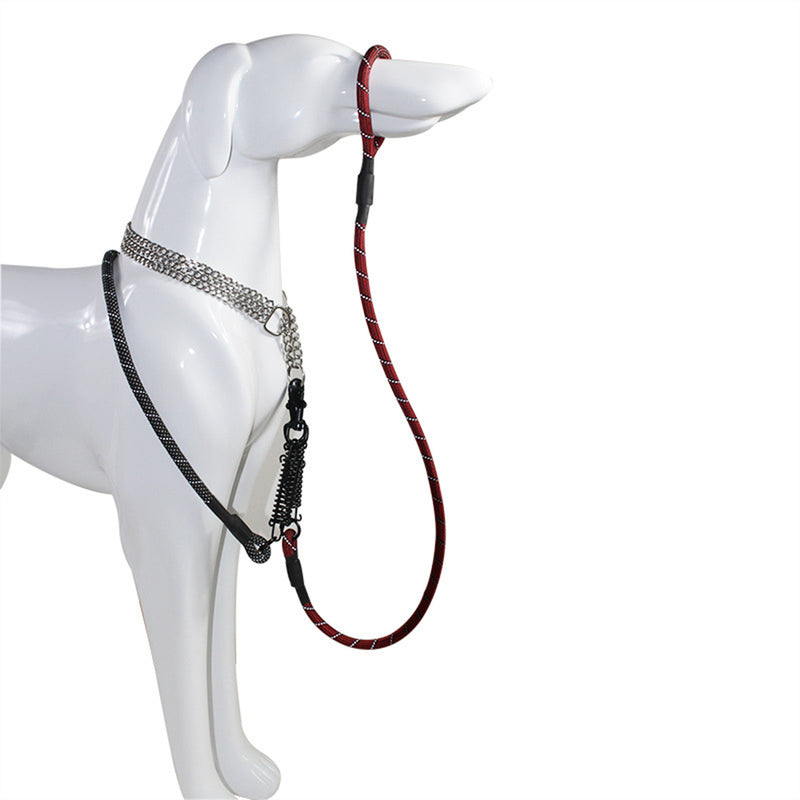 PAWS ASIA Suppliers Hot Sales New Style Fashion Dog Collar Leash With Spring