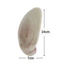 PAWS ASIA Innovative Lifelike Chicken Teeth Cleaning 2021 Dog Present Pets Toy