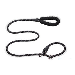 PAWS ASIA Suppliers 2 in 1 Nylon Reflective Training Strong Heavy Duty Dog Collar And Leash