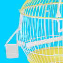 PAWS ASIA Factory Yellow Aviary Outdoor Hanging Round Bird Cage With Tray For Canaries